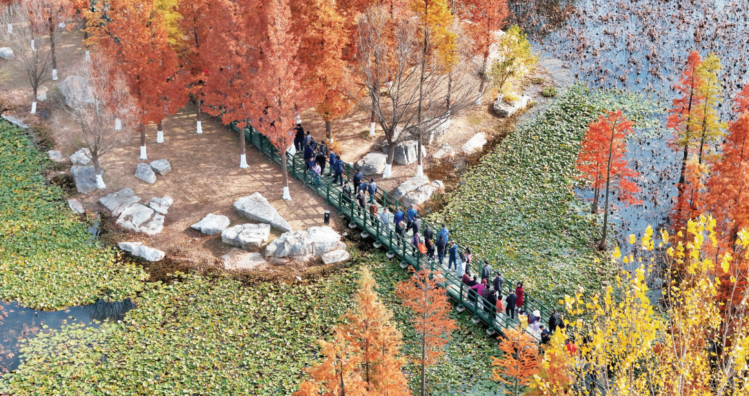图片新闻|多彩初冬