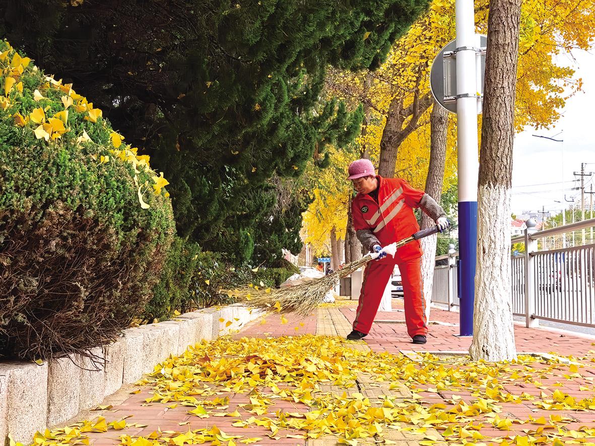 及时清扫落叶 守护城市洁净