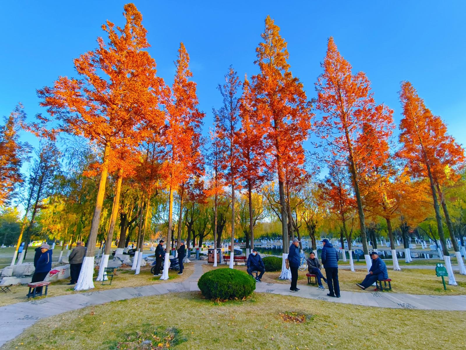 图片新闻|蓬莱黄海绿洲公园