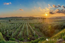 800年前，他为栖霞代言