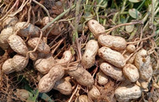 退休金九千多还干这些，他图什么呢？