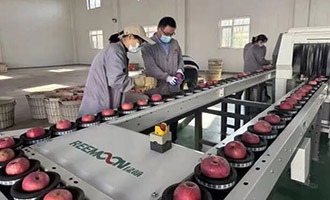 又一苹果深加工项目投产，栖霞“智造”NFC果汁香飘四方