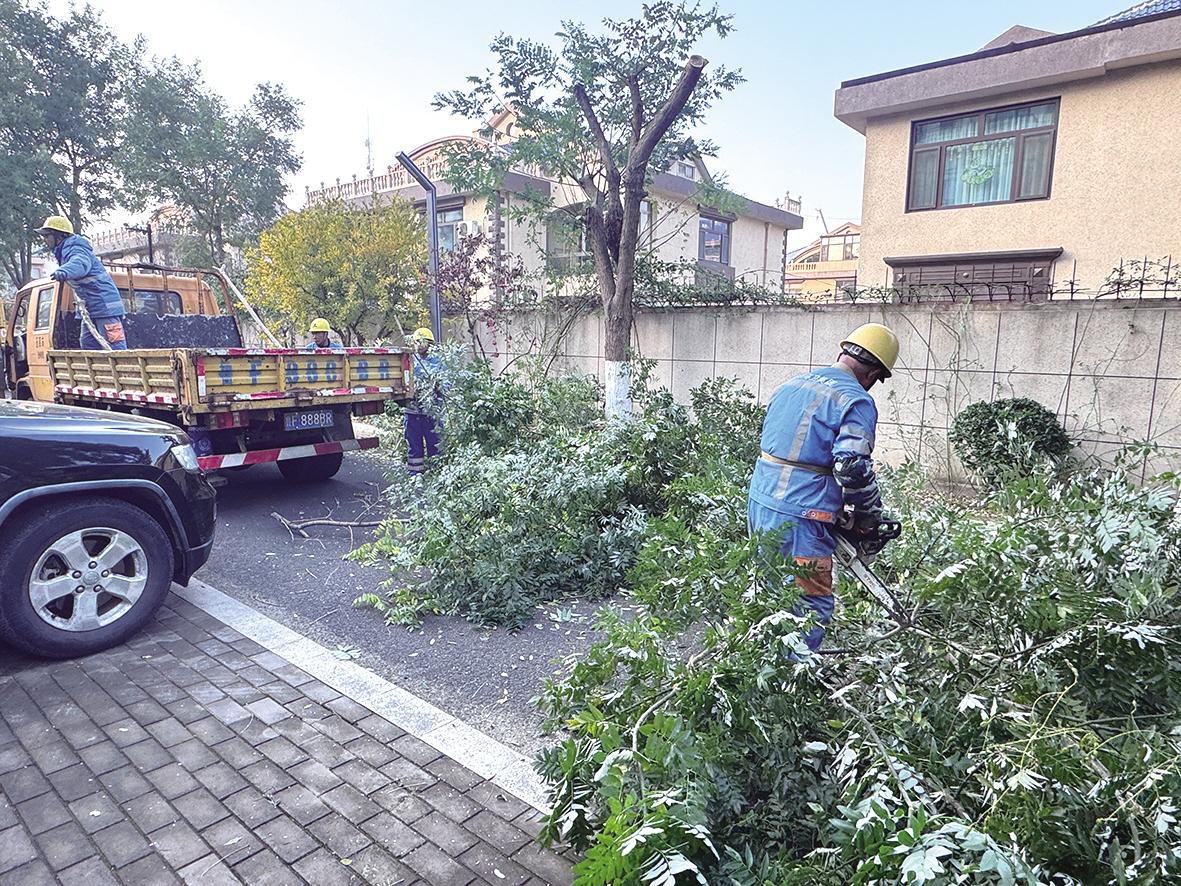 蓬莱高效化解居民“树烦恼”