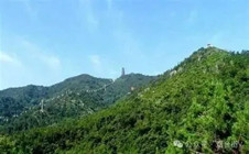 芝罘区小璜山北坡的“王家茔”，有一段鲜为人知的历史