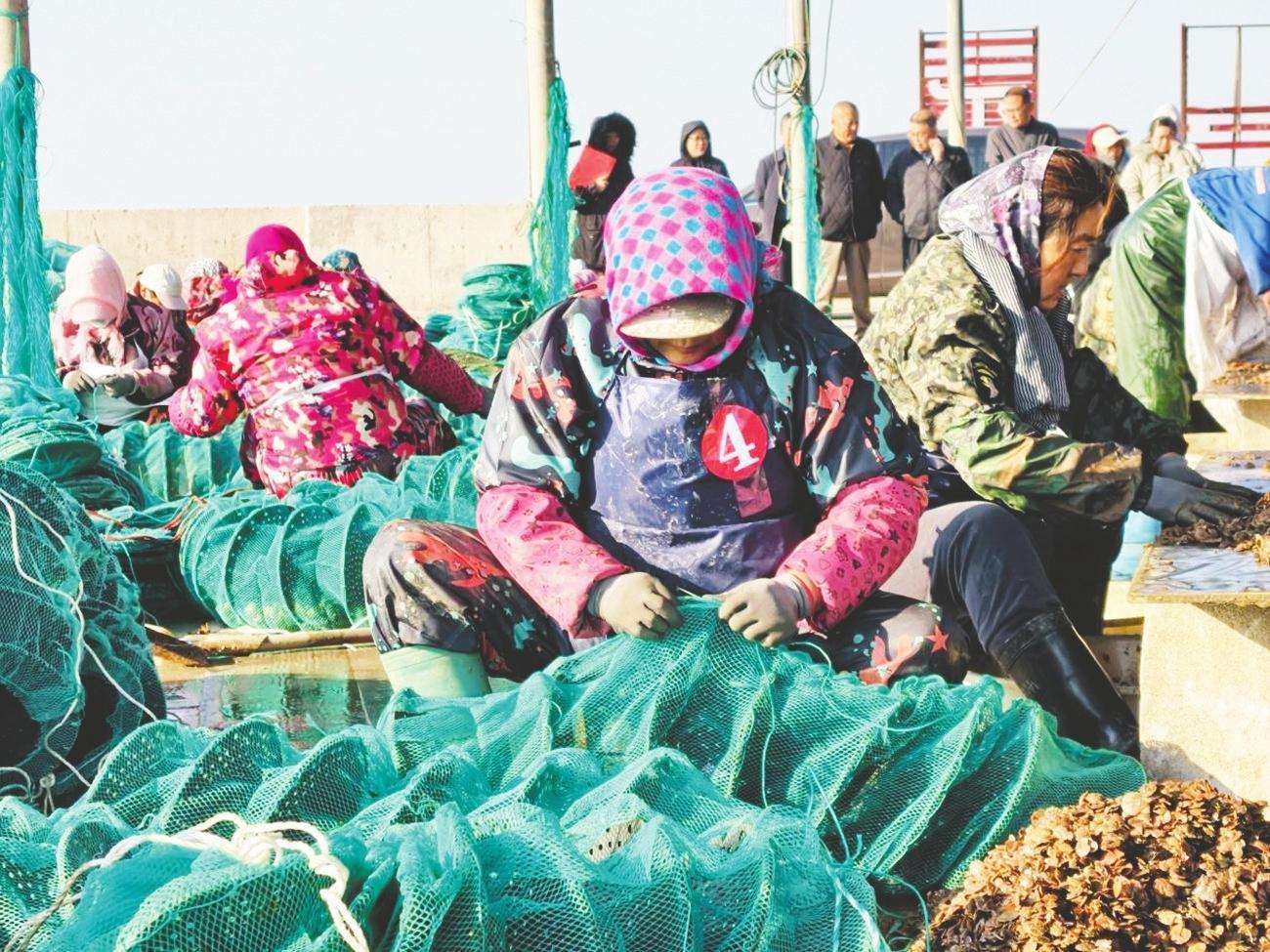 匠心分苗促增收 蓝色粮仓兴乡村 长岛举办首届扇贝分苗劳动竞赛