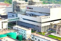 锻造“中国芯”！我国能源自主之路再添硬核底气→