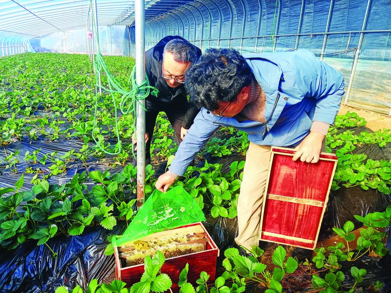 加快建设绿色低碳高质量发展先行区|良田沃野绿风劲