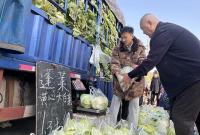 我国粮食主产区秋冬种基本结束