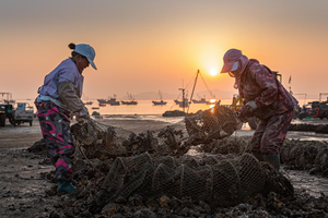 烟台银行落地山东省首笔“生物多样性+可持续渔业”贷款