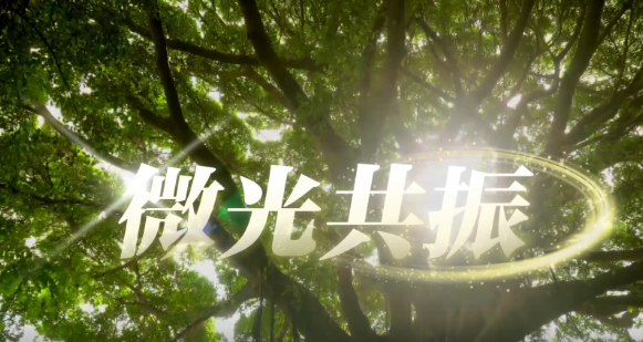 国际志愿者日，致敬每一双手的温度