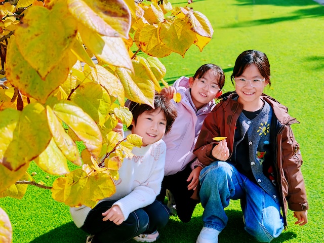 芝罘区新海阳小学开展教师摄影征集活动