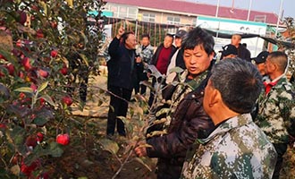 高素质农民培训吸引314人参加，栖霞市果业高质量发展注入新活力