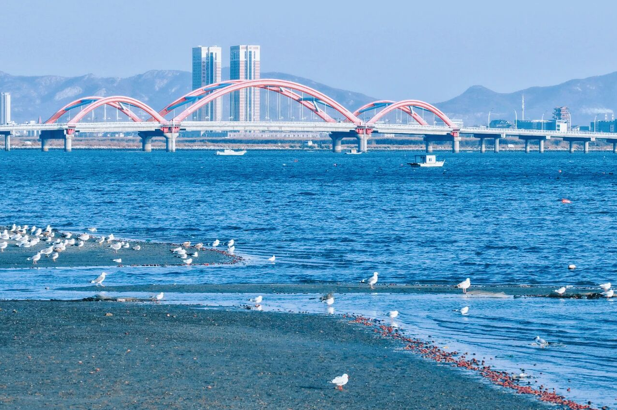天与海之间的温热休止符：在烟台，泡着温泉看大海