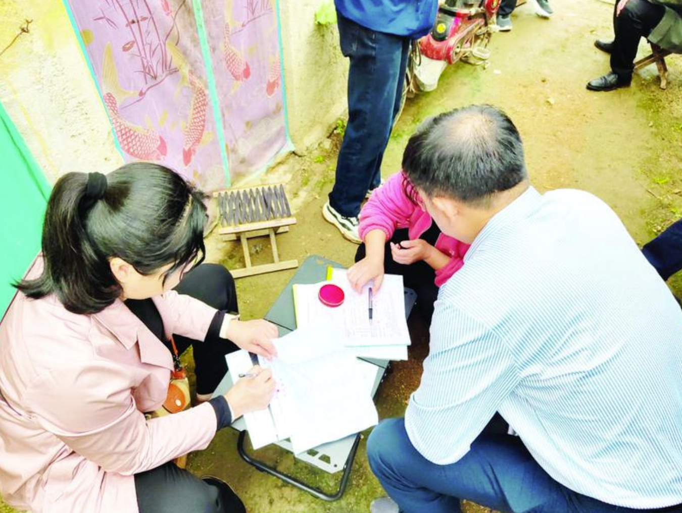 省级蔬菜水果质量安全监督抽查在烟台完成抽样