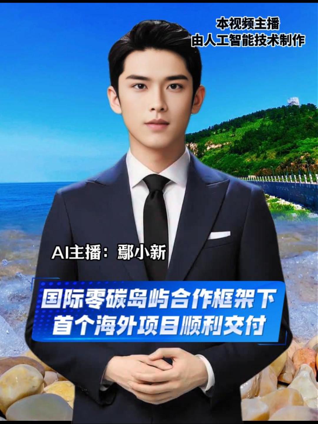 国际零碳岛屿合作框架下 首个海外项目顺利交付