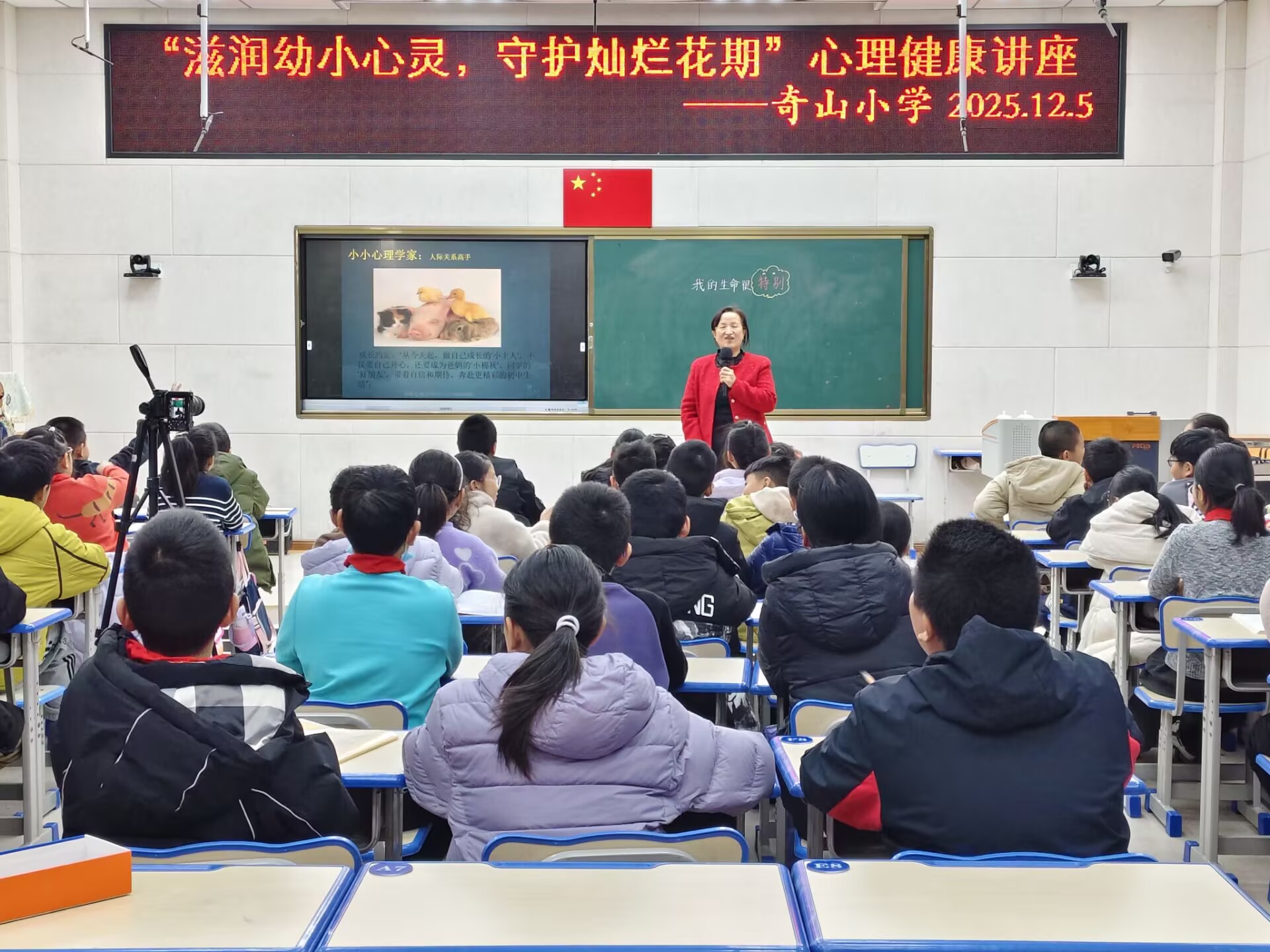 专家引领系列讲座，守护学生心灵成长——奇山小学心理健康周圆满落幕