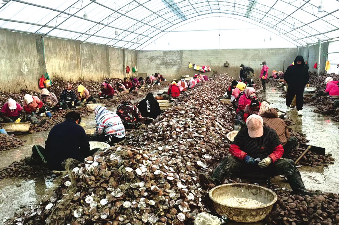 图片新闻|烟台高新区北寨村养殖场