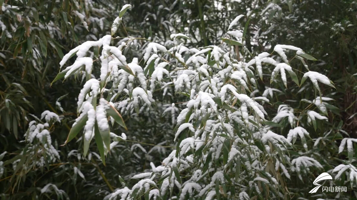 山东继续发布道路结冰橙色、寒潮蓝色预警 烟威中到大雪