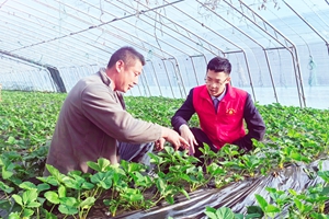 烟台农商银行福山区张格庄支行金融“活水”润农企