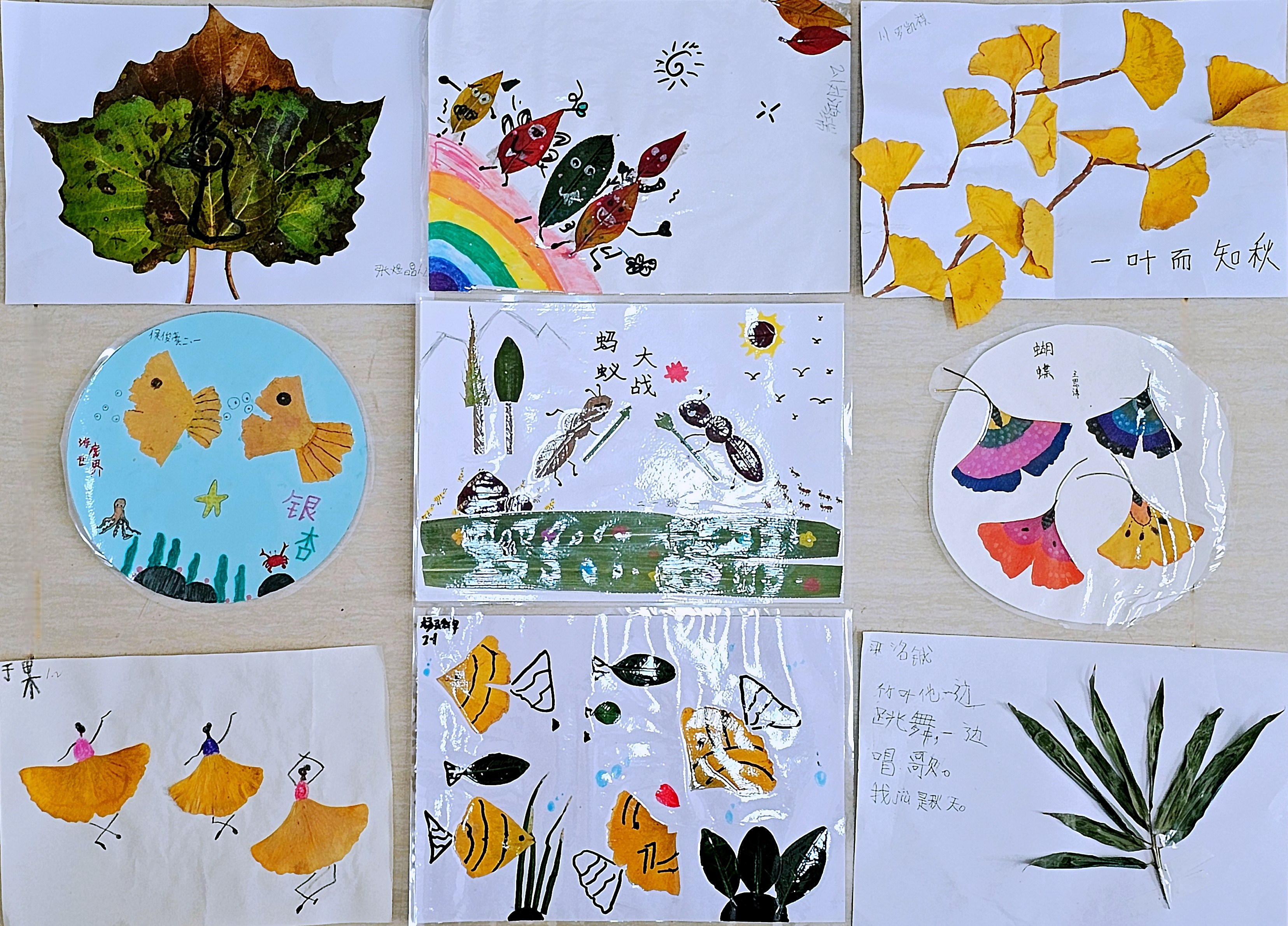 芝罘区新海阳小学：秋叶染童心 仁笃润成长