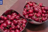 海运车厘子到货 教你挑最甜的那颗