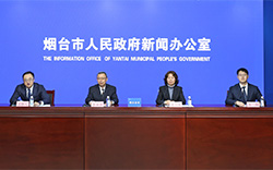 烟台现有千年以上保护古树2株 位于莱州和福山