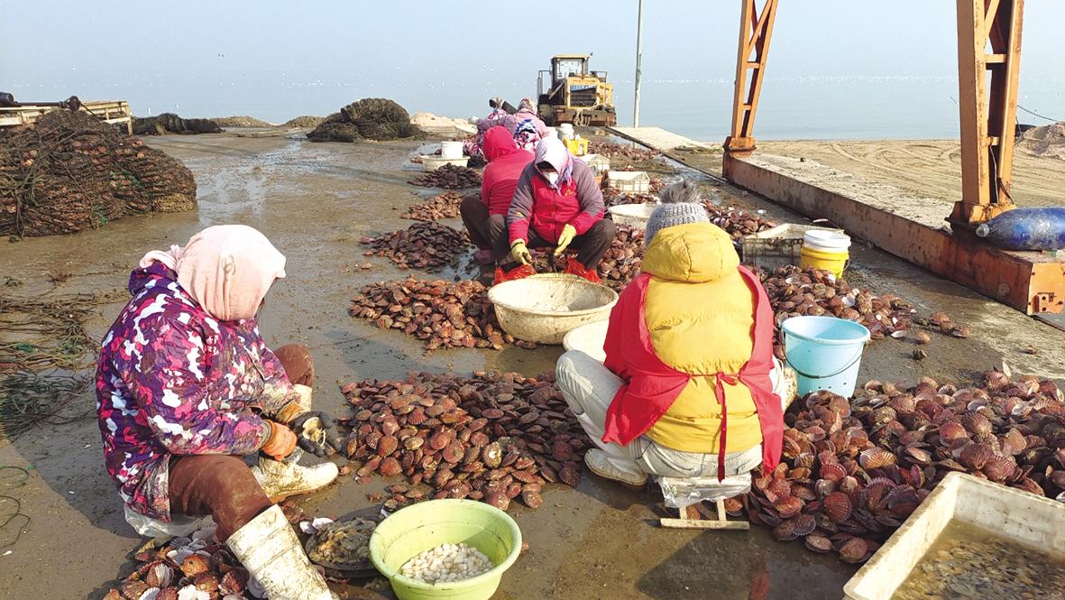 图片新闻|海边人家独有的惬意与烟火气