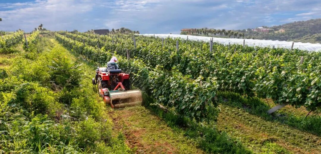 这个“片区”，让烟台又成全国样板？