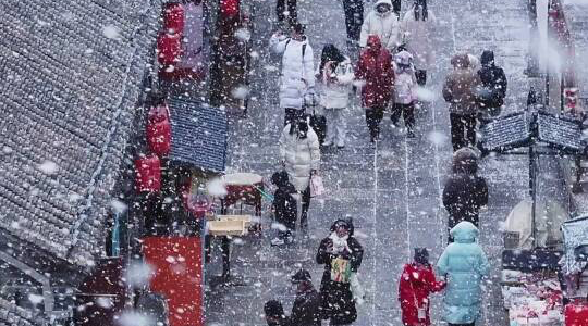 瑞雪映新年，丰年已在望，烟台迎来了新年第一场瑞雪