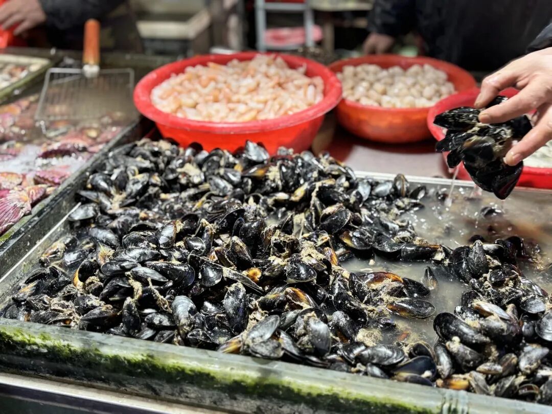 烟台这种海鲜，今年提前上市！10块钱买一大盆！