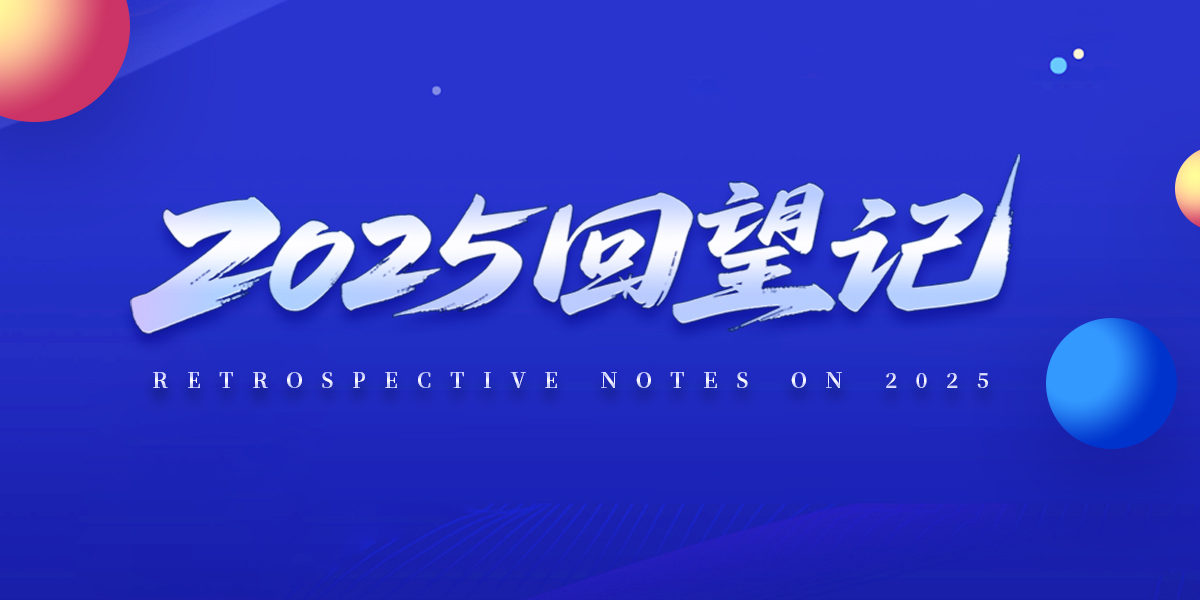 2025回望记
