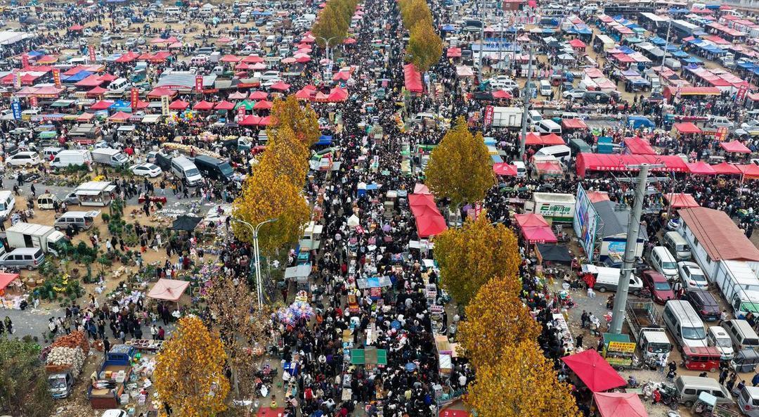 2025回顾·身边民生记｜山东人的“小确幸”，就藏在这些细节里