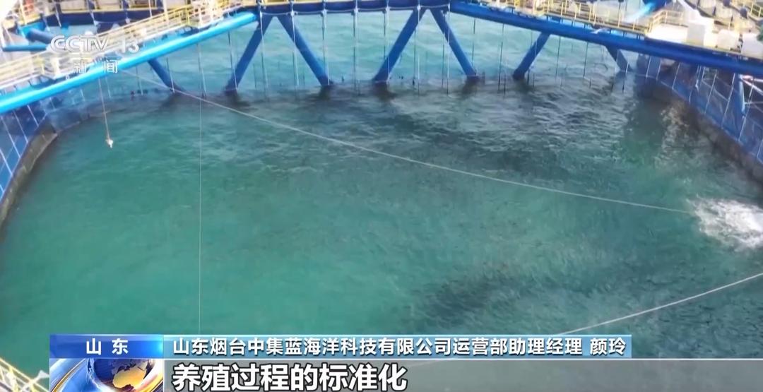 上百万尾鱼苗跨越山海 山东“蓝色粮仓”加速丰盈