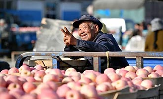 在栖霞，获《人民日报》点赞的“双向奔赴”有一个温暖甜蜜的“苹果版本”