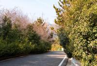 收藏！山海步道春日踏青指南（含路线/停车/拍照点）