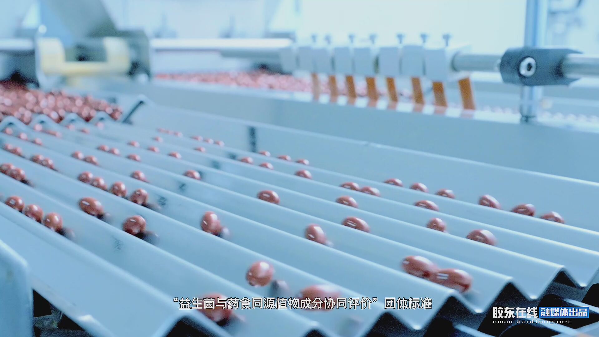 山东国和堂制药有限公司以创新驱动实现跨越式发展#国和堂#制药#高新区