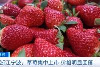 下降3元到5元！草莓进入销售旺季，价格明显回落