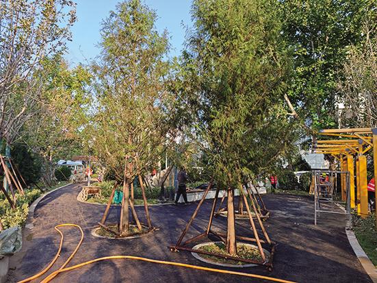 烟台城市品质提升 景色更美绿意更浓