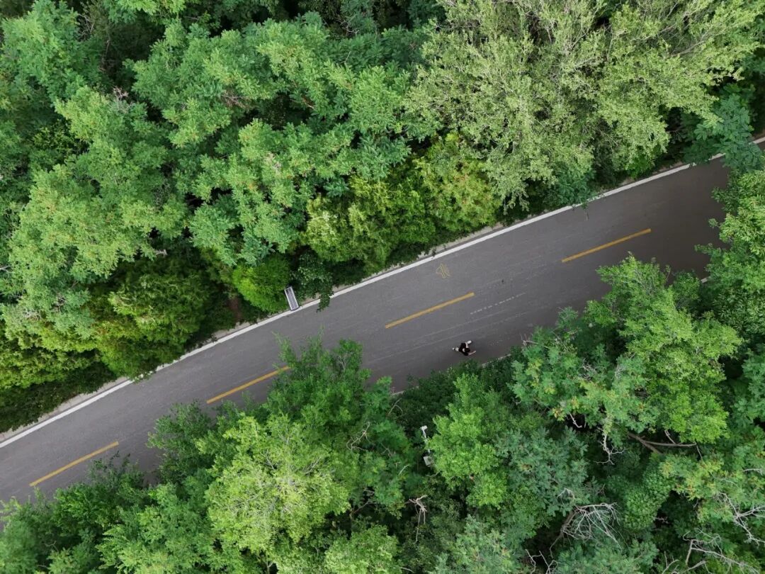 30万年轻人进场！烟台怎么把“向往的生活”过成了日常？