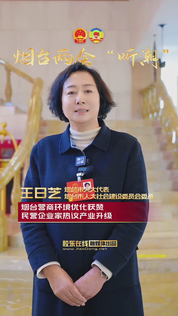 烟台市人大代表王日芝：烟台营商环境优化获赞 民营企业家热议产业升级