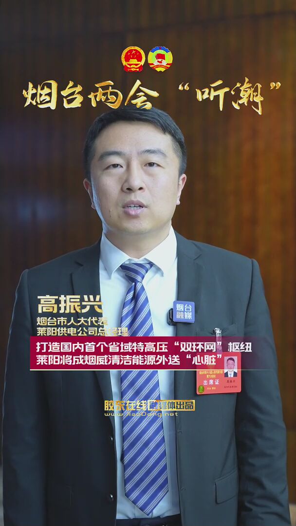 烟台市人大代表高振兴：打造国内首个省域特高压“双环网”枢纽 莱阳将成烟威清洁能源外送“心脏”