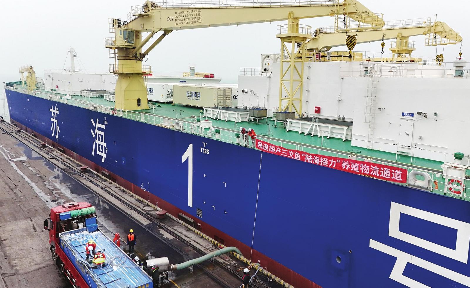 山东首单活体鱼苗成功入舱