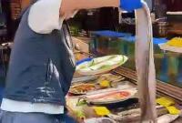 在烟台没有“大刀鱼”的年夜饭是不完整的！年货会速冲