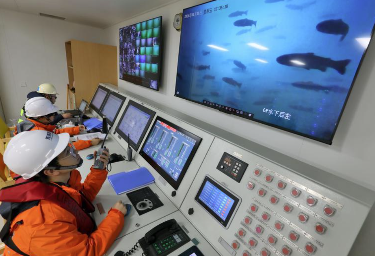 全球首艘10万吨级三文鱼养殖工船在烟台港开舱进货