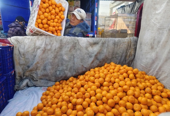 年货“顶流”砂糖橘上市 今年价格亲民敞开吃