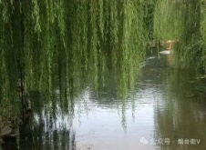 福山东北关赖氏与东华小学