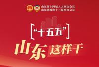 “十五五”，山东这样干