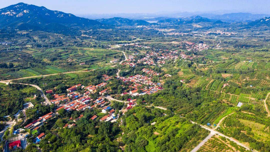 稳中求进 提质增效 确保“十五五”开好局起好步