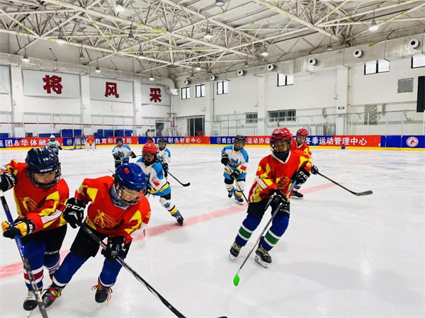 冰聚仙境，挥杆逐梦！2026烟台冰熙杯“好运山东”全国青少年冰球邀请赛热力来袭