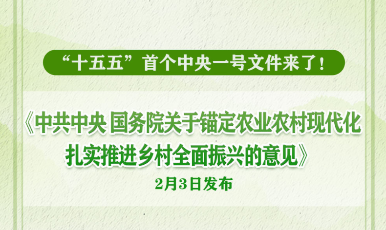 2026年中央一号文件发布